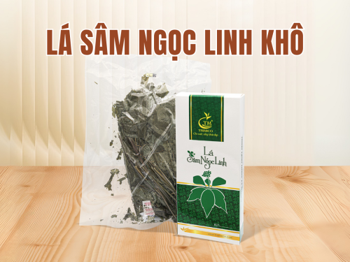 Lá sâm Ngọc Linh khô: Công dụng, cách dùng và giá bán hiện nay